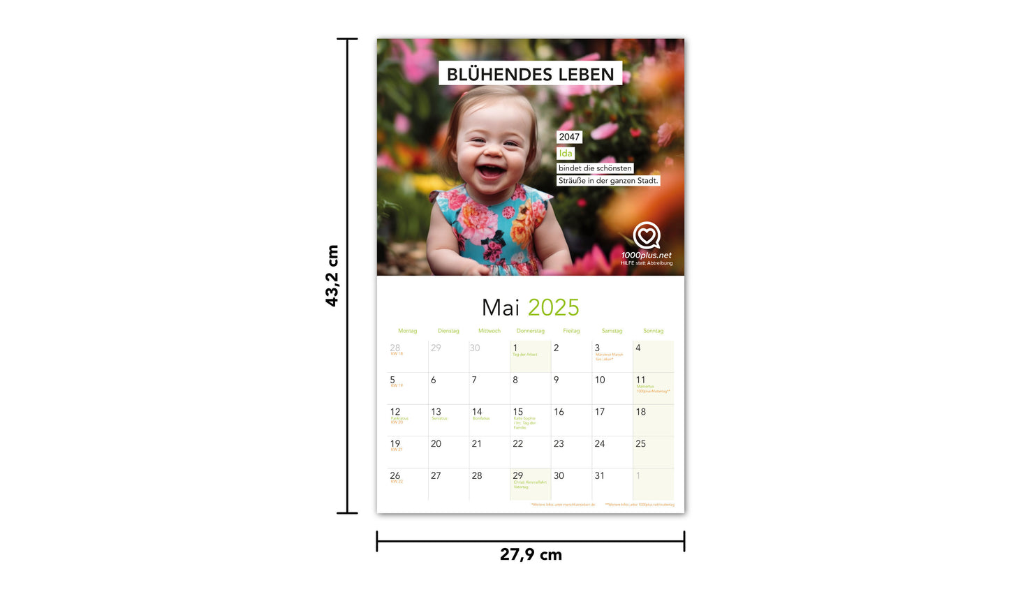 1000plus-Kalender 2025